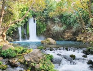 a waterfall in the middle of a river at The old Oak tree by the Banias river in Kibbutz Snir