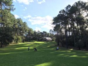 a group of people playing in a field of grass at Charmant appartement T3 contemporain au bord de l'eau sur le Bassin Arcachon in Lanton +34 photos