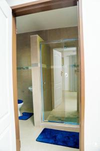 a bathroom with a glass shower and a toilet at Northgate Villa Guest House in Gweru