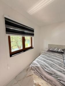 a bedroom with a bed and a window at Una Dreams in Bare