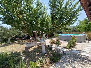 a tree and a swimming pool in a yard at House Konstantinos in Agios Georgios