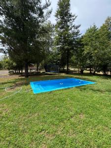 a blue swimming pool in the grass with trees at Aldea Molco Cabaña Castaño Pucon Villarrica in Molco