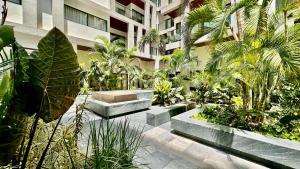 a garden in a building with many plants at Ipana Luxury Suites By Caribe Rentas in Playa del Carmen