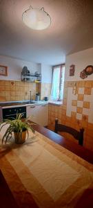a kitchen with a potted plant on the floor at La Dimora di Beatrice in Santa Brigida