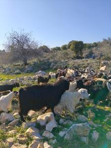Paesaggio naturale nelle vicinanze dell'appartamento