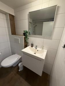 Ένα μπάνιο στο Appartment Happy Life - Wimmis - near Spiez-Thun- Interlaken +19 φωτογραφίες