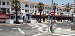 プラヤ・デ・ラス・アメリカスにあるLas Floritasの一時停止の標識とヤシの木がある空っぽの街路