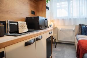 Kuchyň nebo kuchyňský kout v ubytování Apartmán u Horynů - Hýblova