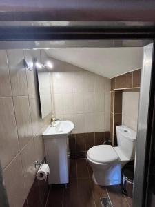 ニキティにあるArisha-Nikitiの白いトイレと洗面台のあるバスルーム