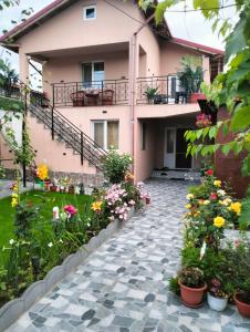 Zahrada ubytování Casa Tomița