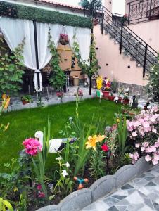 Zahrada ubytování Casa Tomița
