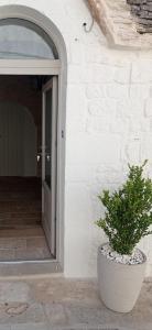 a plant in a pot sitting next to a door at Il Trullo di Betta in Alberobello +7 photos