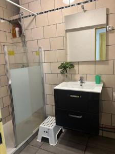 ein Badezimmer mit Waschbecken und Dusche in der Unterkunft Chambre à 20 minutes de Paris TOUR EIFFEL, APPARTEMENT COMMUN in Épinay-sur-Seine