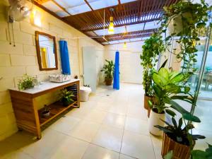 Φωτογραφία από το άλμπουμ του Pura Vida Boutique Apartments σε Puerto Viejo