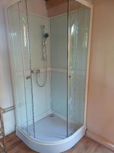 a shower with a glass enclosure in a bathroom at Letní chata u staré cihelny in Škvořetice