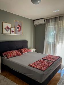 Katil atau katil-katil dalam bilik di Apartman Mostar centar
