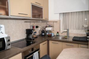 a kitchen with a sink and a counter top at Mamamia Apartman in Gyula