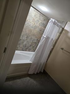Bilik mandi di The Appalachian Hotel at Mountain Creek Resort - Pool, Hot Tub & Sauna