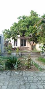 a white house with a tree and some stairs at NVH4 Nanay Vacation Home Coron Palawan in Coron