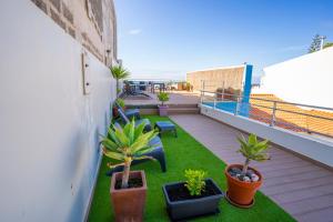 Balkón nebo terasa v ubytování Hostel AzorAzul - Pool & Suite