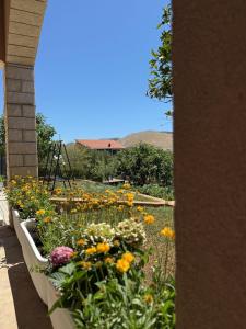 Ein Garten an der Unterkunft Apartments Josi