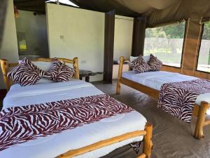 Postel nebo postele na pokoji v ubytování Wild Nest Mara camp