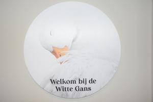 a white swan in a mirror with the words wisdom big die white games at De Witte Gans in Ootmarsum +25 photos