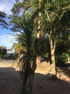 Fotografie z fotogalerie ubytování Jungle Lodge v destinaci Rustington