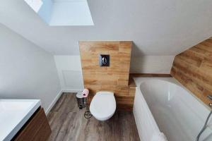 a bathroom with a toilet and a bath tub at GITE DE LA VIEILLE TOUR Murol 63790 in Murol