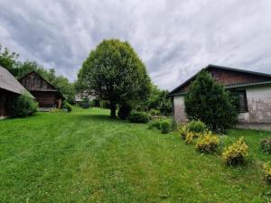 a yard with two houses and a tree at Siedlisko pod starą lipą in Krzczonów-Wójtostwo