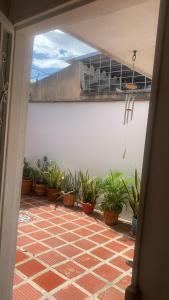 a courtyard with potted plants on a wall at Habitación, 2, privada, aire, Ceiba in Cúcuta