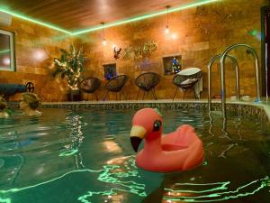 a swimming pool with a pink rubber duck in it at Cabana Moldovan Baisoara cu piscina interioara, ciubar, spa in Lunca Largă
