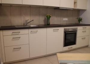 Köök või kööginurk majutusasutuses Felsenblick +5 fotot