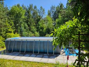 a swimming pool in a garden with trees at Leśne Wspomnienia in Niesiołowice
