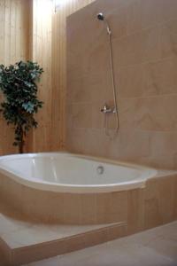 a bath tub in a bathroom with a plant at Beskýdek III in Krásná