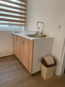a kitchen with a sink and a trash can at Villa Ajdinoski in Ohrid