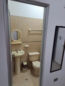 イキトスにあるHabitación Amobladaのトイレと洗面台付きのバスルーム