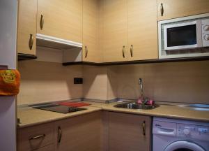 Kuchyň nebo kuchyňský kout v ubytování Apartamentos Turisticos Graus