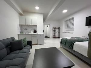 a living room with a couch and a bed and a kitchen at Central Park Residence in Sarajevo