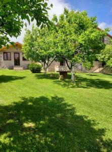 Giardino di Guest House Ijevan's Garden