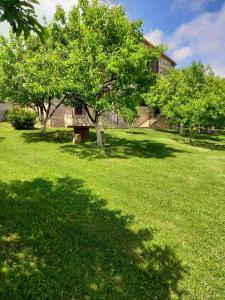 Giardino di Guest House Ijevan's Garden