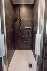 a shower with a shower head in a bathroom at Alpenrausch 3 in Kiefersfelden