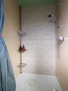 a bathroom with a shower with a pattern on the wall at Apartament Pomeranka Puck in Puck +15 photos