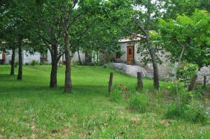 Imagem da galeria de Casas Vale Martinho em Santa Comba Dão mais 55 fotografias