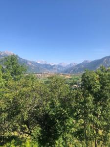 a group of trees with mountains in the background at Appartement Risoul in Risoul +1 photo