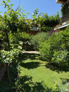 Guest House Lin外面的花园
