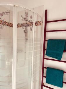 y baño con ducha y 2 toallas verdes. en Joli duplex plein centre, parking sur demande à la réservation, en Issoire