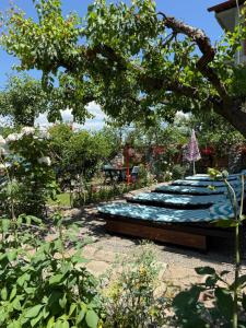 Guest House Lin外面的花园