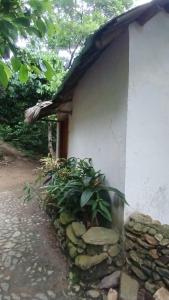 圣玛尔塔La Cima Tayrona的相册照片