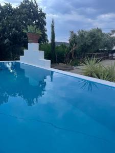 a blue swimming pool with a potted plant on top at Casa na Quinta in Elvas